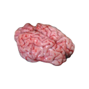Lamb Brain